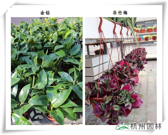 pg电子模拟器(中国)官方网站