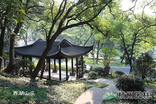 pg电子模拟器(中国)官方网站