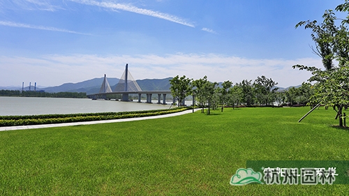 pg电子模拟器(中国)官方网站
