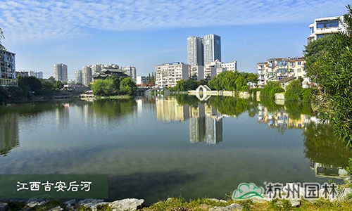 pg电子模拟器(中国)官方网站
