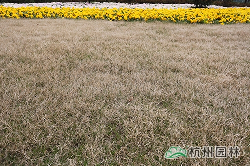 pg电子模拟器(中国)官方网站