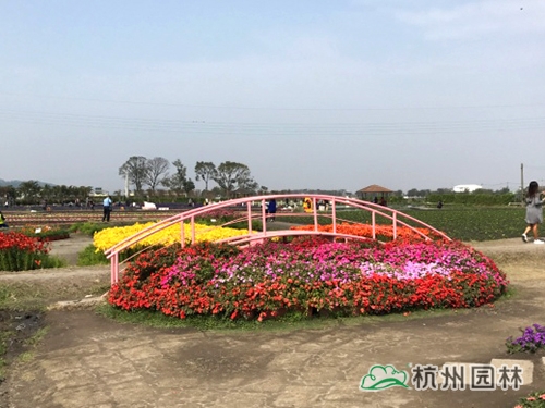 pg电子模拟器(中国)官方网站