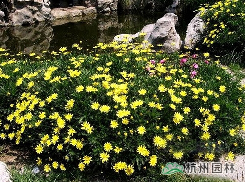 pg电子模拟器(中国)官方网站
