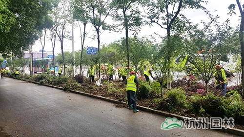 pg电子模拟器(中国)官方网站