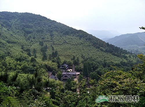 pg电子模拟器(中国)官方网站