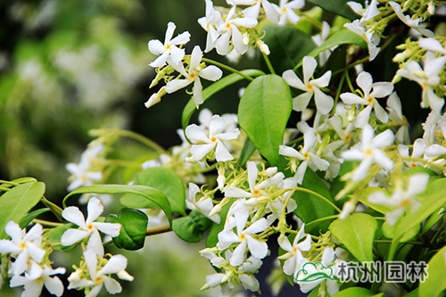 pg电子模拟器(中国)官方网站
