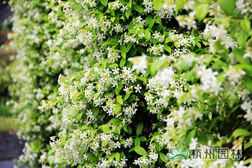 pg电子模拟器(中国)官方网站
