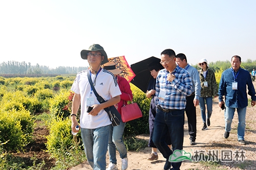 pg电子模拟器(中国)官方网站