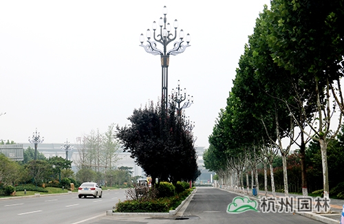pg电子模拟器(中国)官方网站