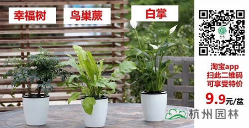 pg电子模拟器(中国)官方网站
