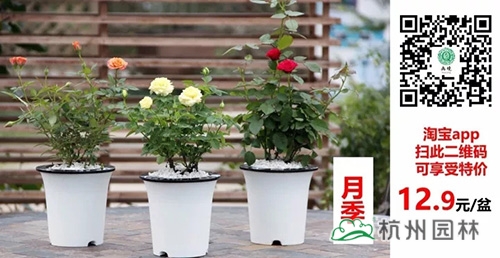 pg电子模拟器(中国)官方网站