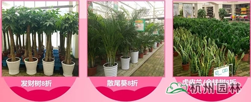pg电子模拟器(中国)官方网站