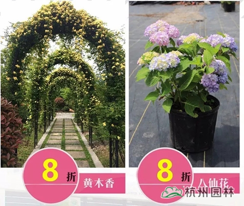 pg电子模拟器(中国)官方网站