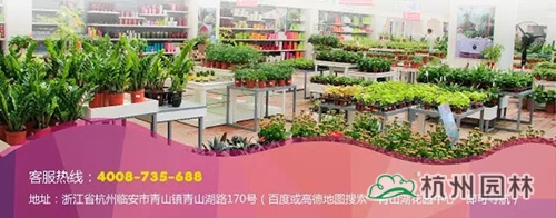 pg电子模拟器(中国)官方网站