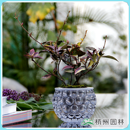 pg电子模拟器(中国)官方网站