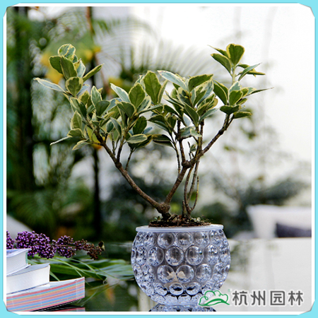 pg电子模拟器(中国)官方网站