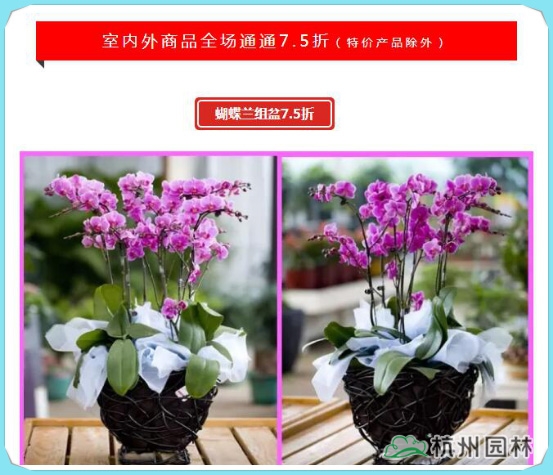 pg电子模拟器(中国)官方网站