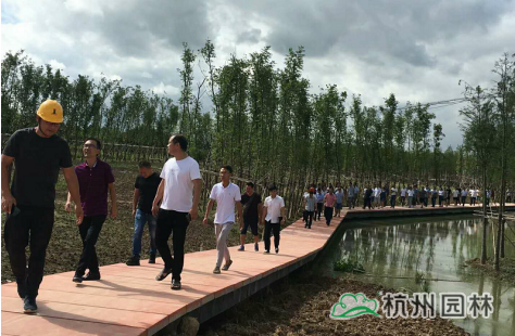 pg电子模拟器(中国)官方网站