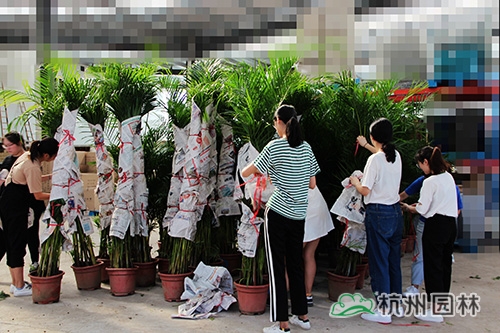 pg电子模拟器(中国)官方网站
