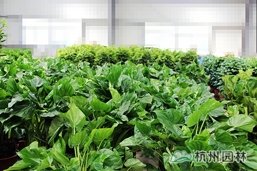 pg电子模拟器(中国)官方网站