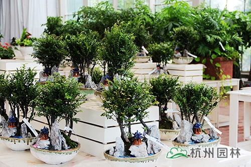pg电子模拟器(中国)官方网站