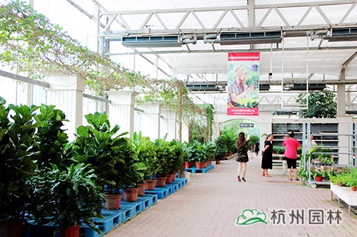 pg电子模拟器(中国)官方网站