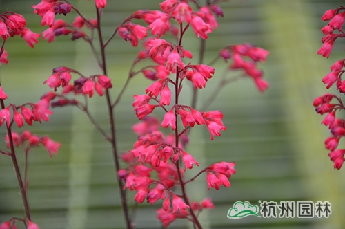pg电子模拟器(中国)官方网站