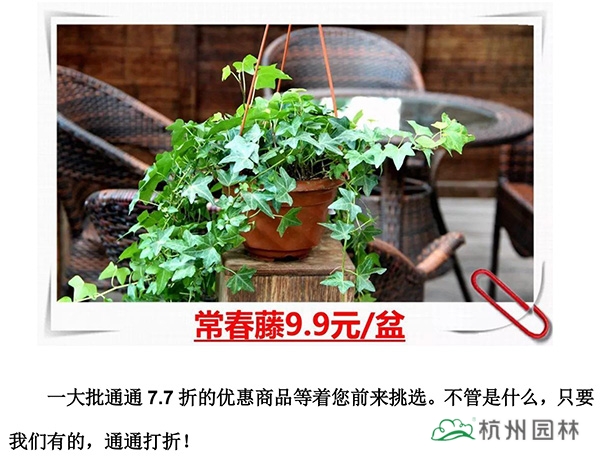 pg电子模拟器(中国)官方网站