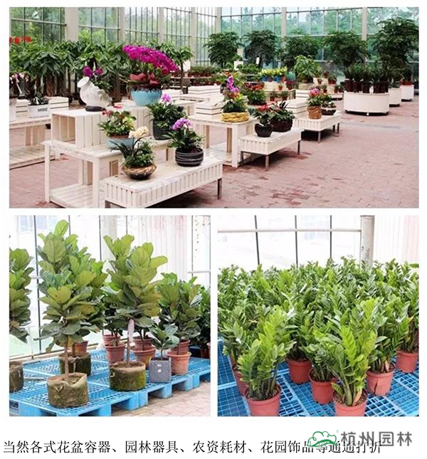 pg电子模拟器(中国)官方网站