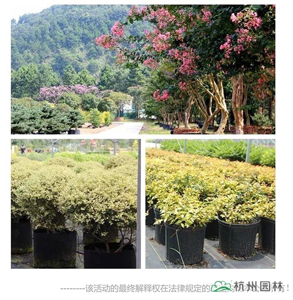 pg电子模拟器(中国)官方网站