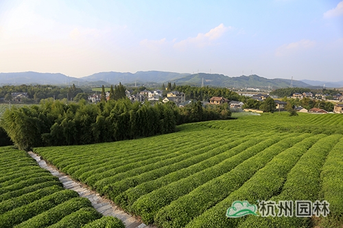 pg电子模拟器(中国)官方网站