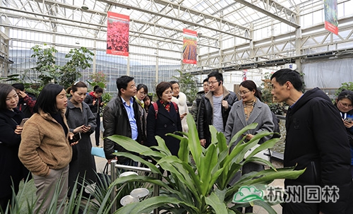 pg电子模拟器(中国)官方网站