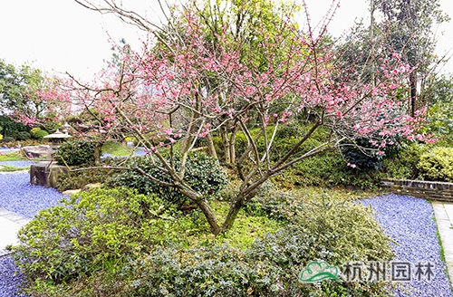 pg电子模拟器(中国)官方网站