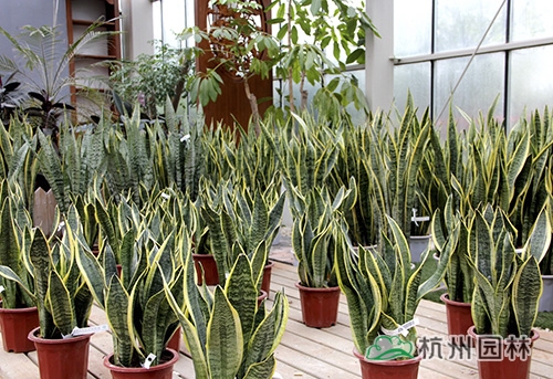 pg电子模拟器(中国)官方网站