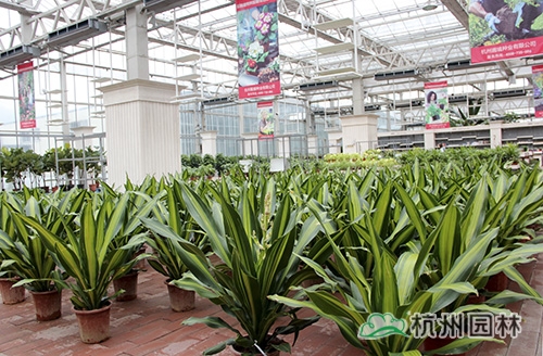 pg电子模拟器(中国)官方网站