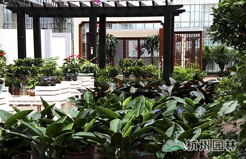 pg电子模拟器(中国)官方网站